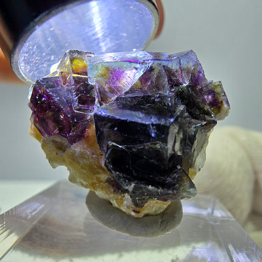 Cubes de fluorite fantôme colorés, spécimen de muscovite, Erongo, Namibie, 23 x 18 x 12 mm 