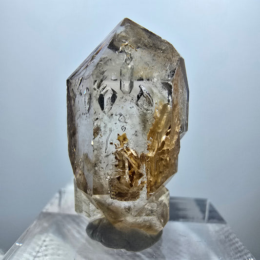 Enhydro Phantom Rauchquarz DT Zepter, 1x Blase Goboboseb, Namibia 28*14*10mm