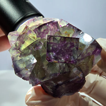 Spécimen de cube de fluorite fantôme, parqueté vert violet Okorusu, Namibie 46*41*26 mm 