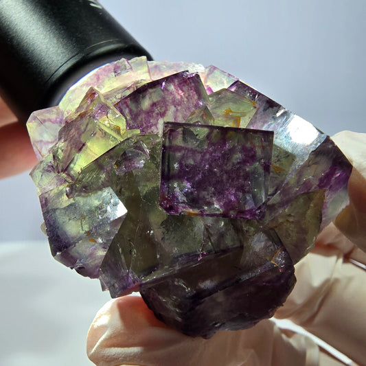 Spécimen de cube de fluorite fantôme, parqueté vert violet Okorusu, Namibie 46*41*26 mm 
