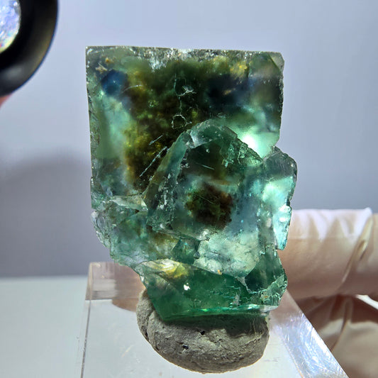 Spécimen de cube de fluorite fantôme, parqueté vert Okorusu, Namibie 38*24*23 mm 