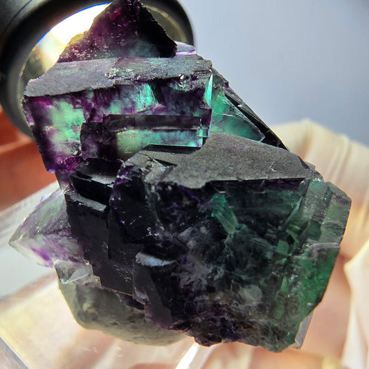 Phantom Fluorit Würfel Stufe, parkettiert grün lila Okorusu, Namibia 35*28*27mm