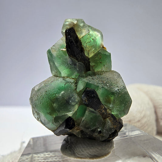 Spécimen de tourmaline Schorl hexagonale en cube de fluorite fantôme, Erongo, Namibie, 26 x 19 x 12 mm 