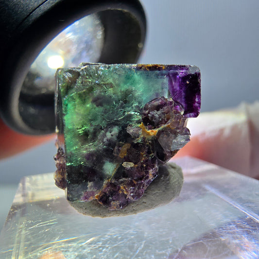Spécimen de cube de fluorite fantôme, parqueté vert violet Okorusu, Namibie 15*15*14 mm 
