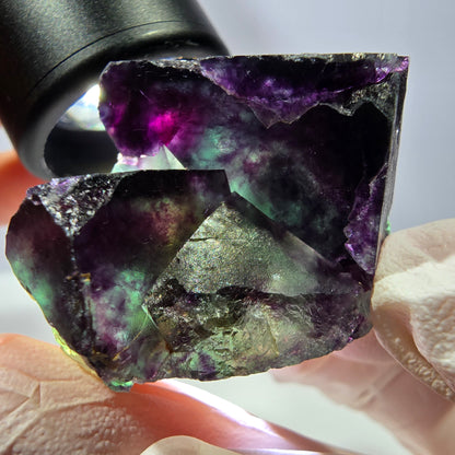 Spécimen de cube de fluorite fantôme, parqueté vert violet Okorusu, Namibie 46*34*25 mm 