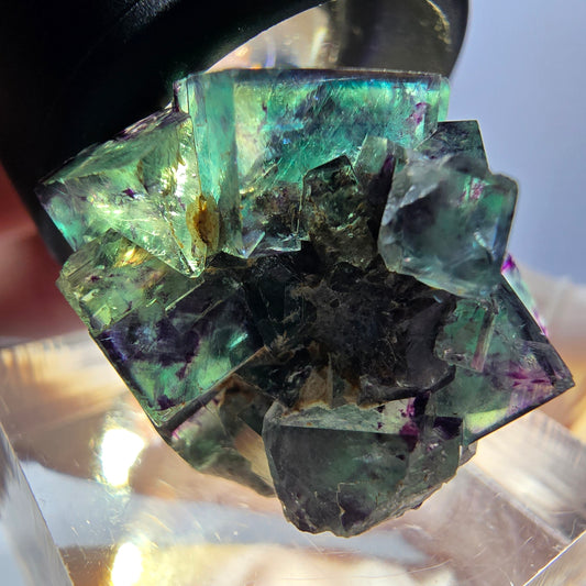 Spécimen de cube de fluorite fantôme, parqueté vert violet Okorusu, Namibie 27*21*19 mm 