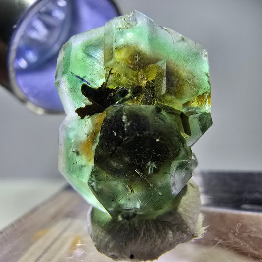 Cube hexagonal de fluorite fantôme, tourmaline Schorl d'Erongo, Namibie 17 x 13 x 12 mm 