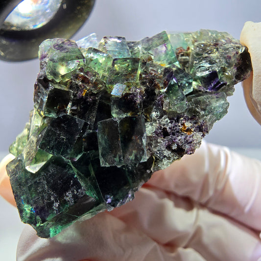 Spécimen de cube de fluorite fantôme parqueté vert violet Okorusu, Namibie 50*34*31mm 