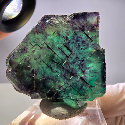Rare cube de fluorite fantôme parqueté vert violet Okorusu Namibie 35*33*14mm 