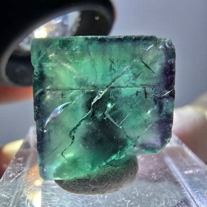 Phantom Fluorit Würfel Stufe, parkettiert grün lila Okorusu, Namibia 17*17*11mm