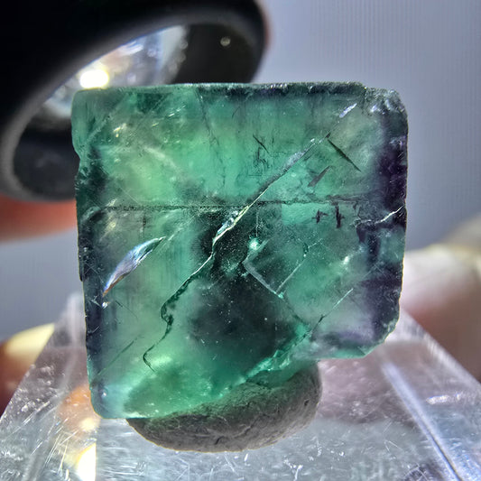 Phantom Fluorit Würfel Stufe, parkettiert grün lila Okorusu, Namibia 17*17*11mm