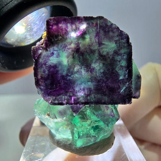 Phantom Fluorit Würfel Stufe, parkettiert grün lila Okorusu, Namibia 30*28*16mm