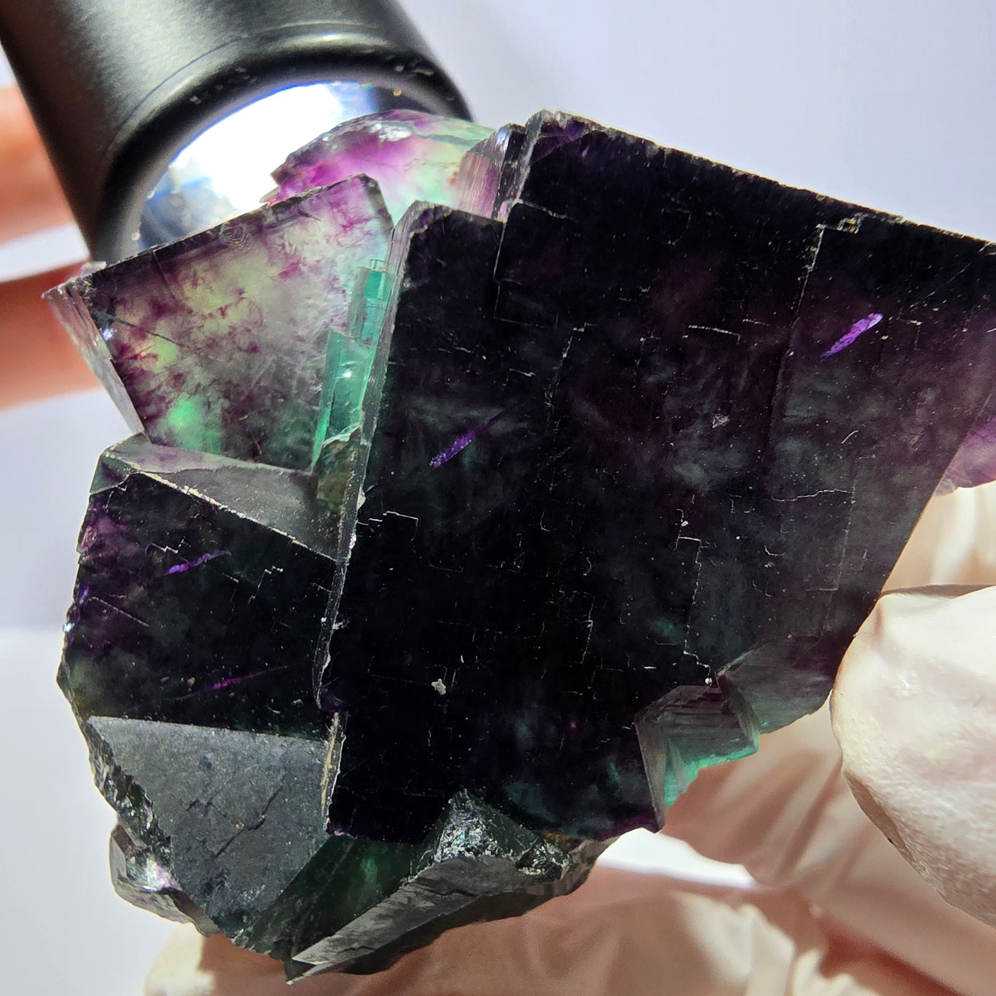 Spécimen de cube de fluorite fantôme, parqueté vert violet Okorusu, Namibie 56*51*45 mm 