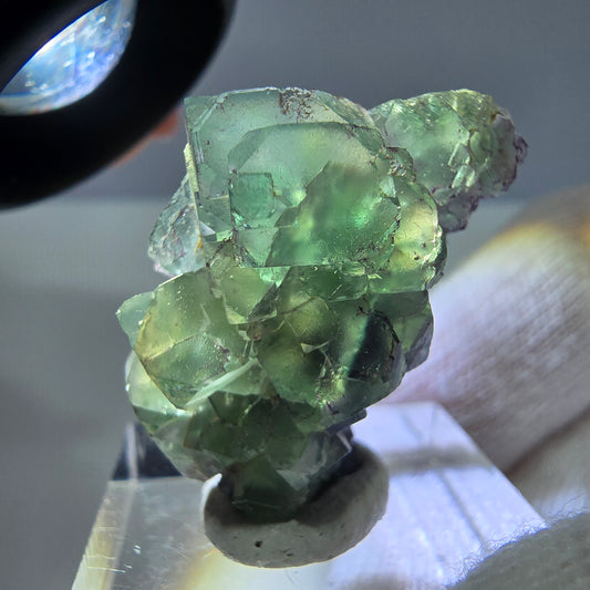 Spécimen de cube de fluorite fantôme zonal, de muscovite et de tourmaline Schorl, Erongo, Namibie, 30 x 22 x 20 mm 