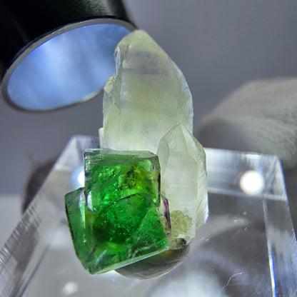 Cube de fluorite fantôme, spécimen de quartz fumé, Erongo, Namibie, 19 x 10 x 12 mm 