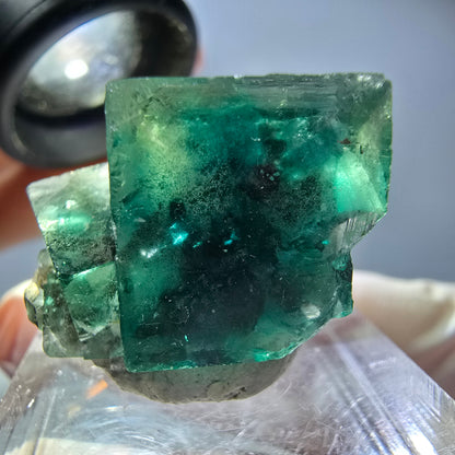 Seltene Phantom Fluorit Würfel Stufe, grün Okorusu, Namibia 23*19*15mm