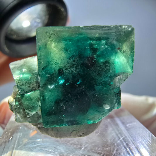 Spécimen rare de cube de fluorite fantôme, vert Okorusu, Namibie 23 x 19 x 15 mm 