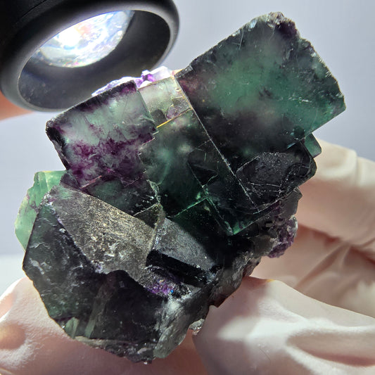 Spécimen de cube de fluorite fantôme parqueté vert violet Okorusu, Namibie 45*42*35 mm 