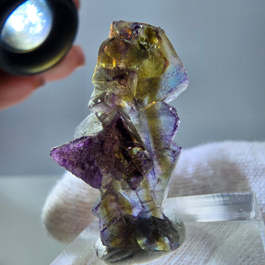 Morceaux de fluorite fantôme, jaune violet, Erongo, Namibie, 31 x 16 x 11 mm 