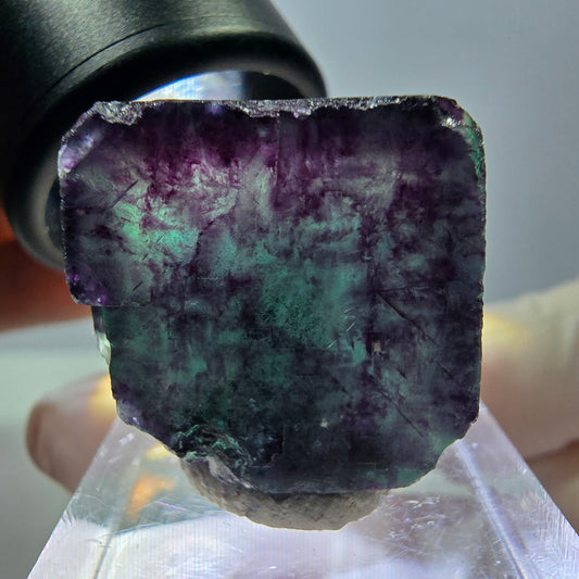 Phantom Fluorit Würfel Stufe, parkettiert grün lila Okorusu, Namibia 22*21*20mm