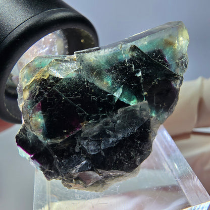 Spécimen de cube de fluorite fantôme, parqueté vert violet Okorusu, Namibie 35*22*15 mm 