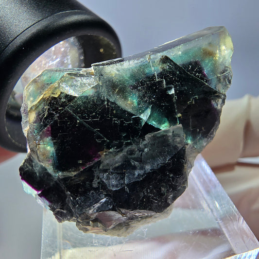 Spécimen de cube de fluorite fantôme, parqueté vert violet Okorusu, Namibie 35*22*15 mm 