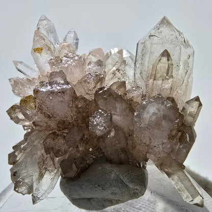 Skeleton Phantom Smoky Quartz DT Scepter Grade Valentine Pocket, Namibia 55*44*18mm 