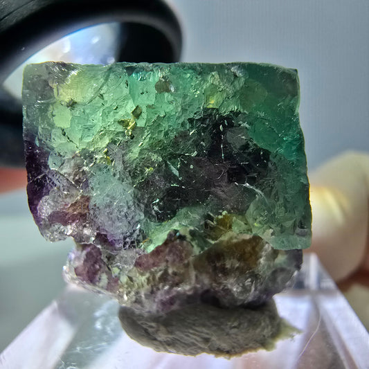 Phantom Fluorit Würfel Stufe, parkettiert grün lila Okorusu, Namibia 27*21*16mm