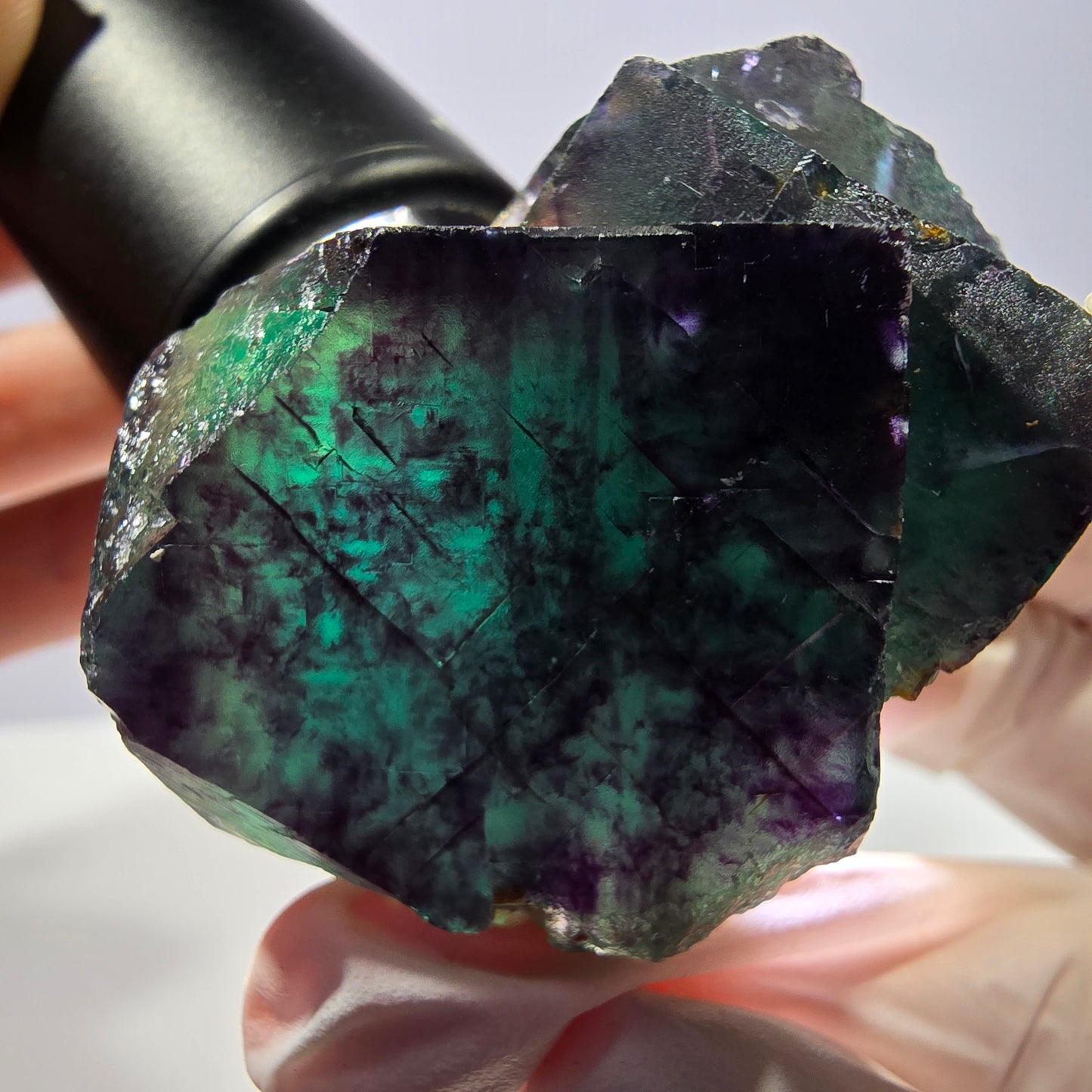 Spécimen de cube de fluorite fantôme parqueté vert violet Okorusu, Namibie 51*41*28 mm 