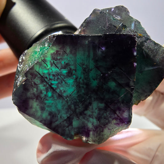Spécimen de cube de fluorite fantôme parqueté vert violet Okorusu, Namibie 51*41*28 mm 