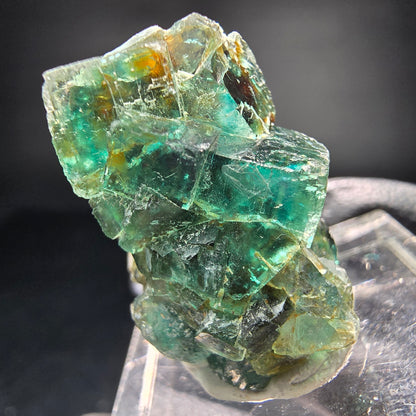 Seltene klare Phantom Fluorit Würfel Stufe grün Okorusu, Namibia 25*18*17mm