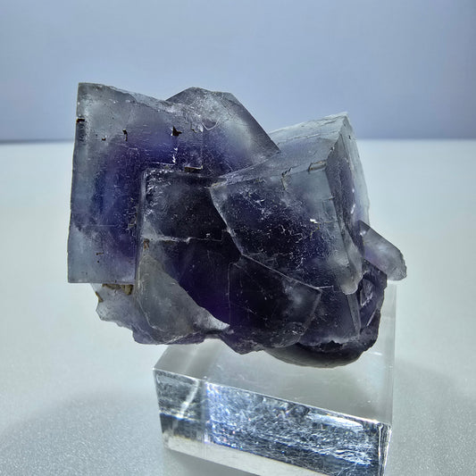 Seltene Phantom Fluorit Würfel Stufe blau lila Okorusu, Namibia 43*33*23mm