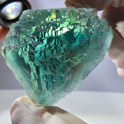 Spécimen de cube de fluorite fantôme transparente, vert parqueté, Okorusu, Namibie, 47 x 40 x 22 mm 