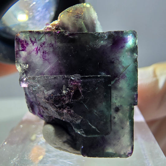Phantom Fluorit Würfel Stufe, parkettiert grün lila Okorusu, Namibia 27*19*16mm