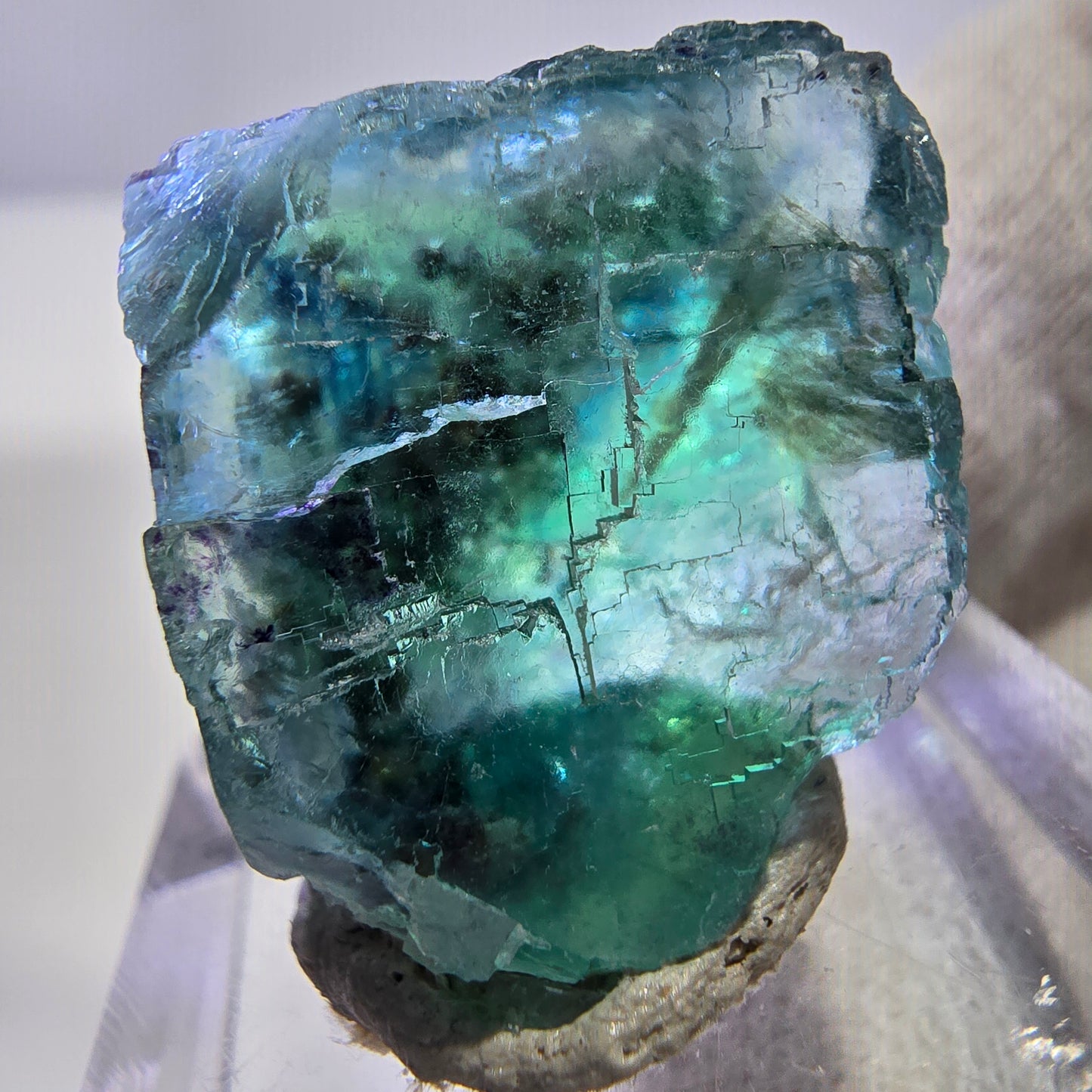 Rare cube de fluorite fantôme, vert parqueté Okorusu, Namibie 26*26*15mm 