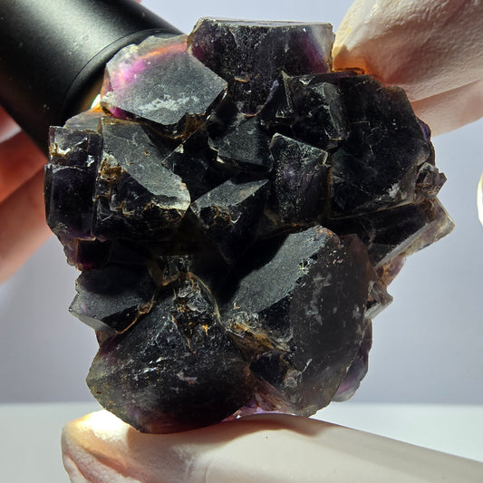 Rare spécimen de cube de fluorite fantôme, bleu-violet Okorusu, Namibie 53 x 48 x 23 mm 