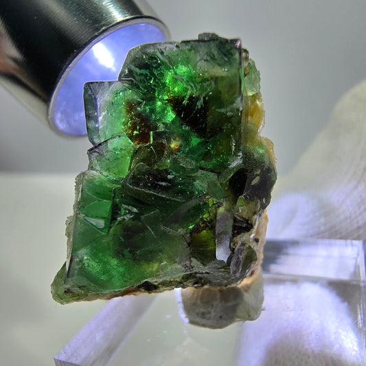 Cube de fluorite fantôme zonal, tourmaline hyalite muscovite Schörl, Erongo, Namibie 24 x 22 x 11 mm 