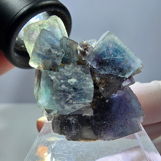 Phantom Fluorit Würfel Stufe, blau lila Okorusu, Namibia 34*29*20mm