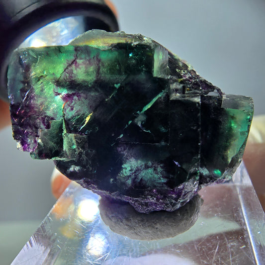 Rare Fluorite Cube Specimen, green purple Okorusu, Namibia 30*24*17mm 