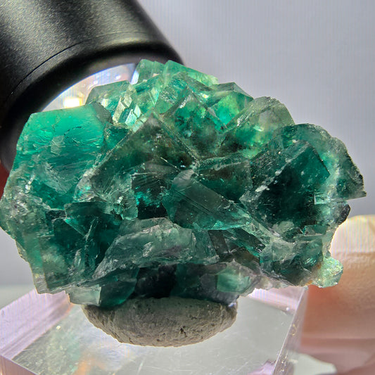 Spécimen de cube de fluorite fantôme, parquet vert Okorusu, Namibie 41 x 26 x 21 mm 