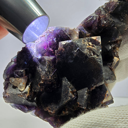 Spécimen de cube de fluorite fantôme, violet, rouge et bleu, Okorusu, Namibie, 91 x 58 x 22 mm 