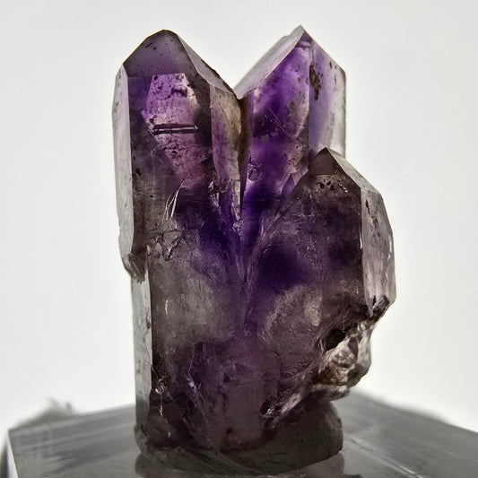 Rare spécimen de sceptre d'améthyste fantôme, Brandberg, Namibie, 31 x 19 x 14 mm 