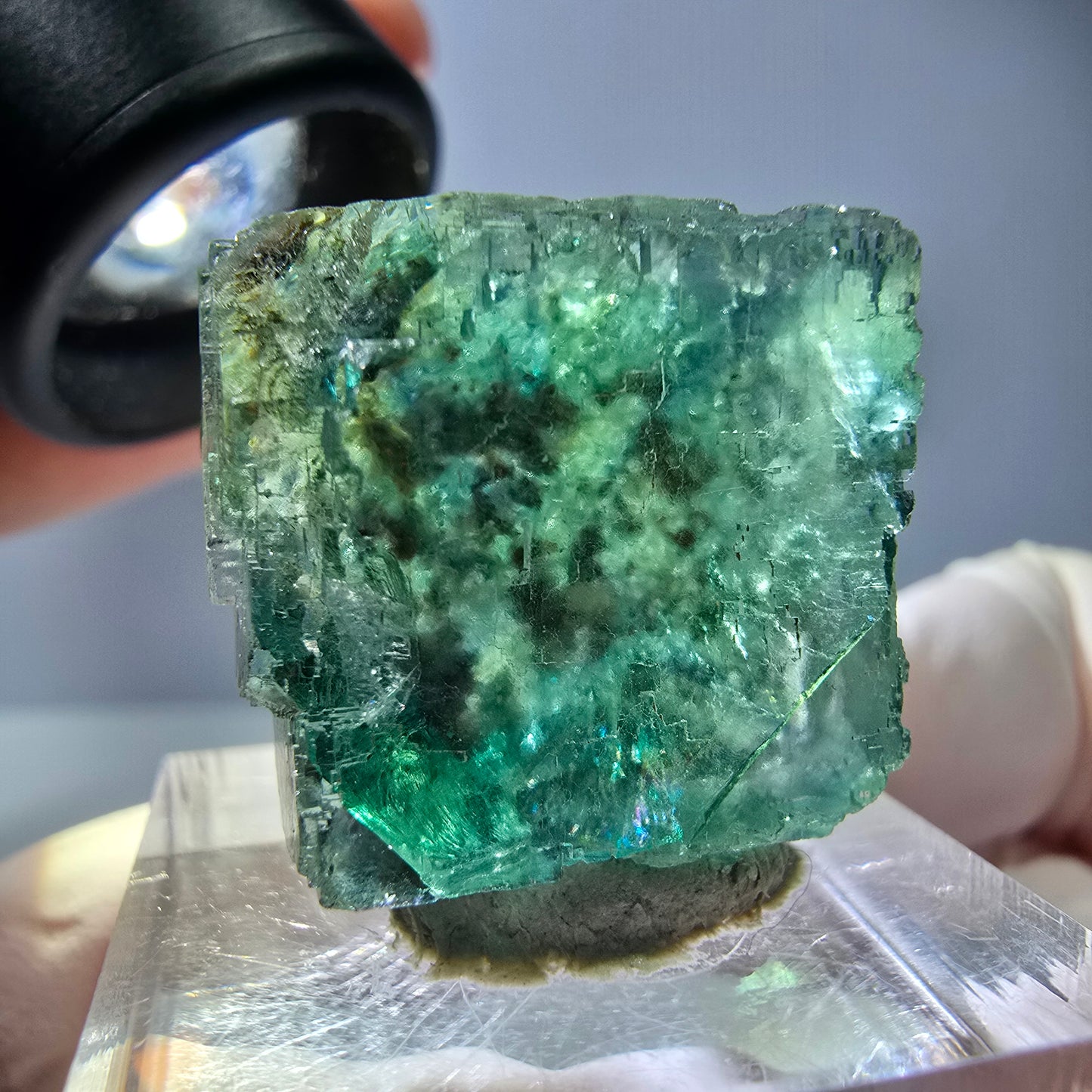 Klarer Phantom Fluorit Würfel parkettiert, grün Okorusu, Namibia 21*20*16mm