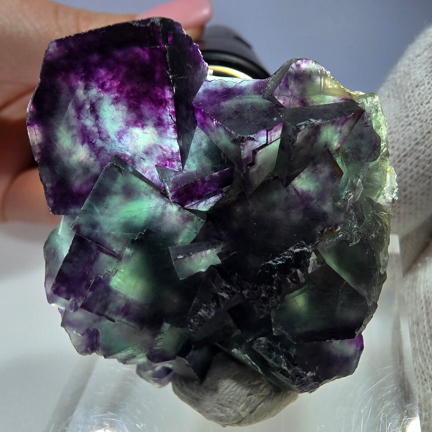 Spécimen rare de cube de fluorite fantôme, vert zonal et violet, Okorusu, Namibie, 49 x 47 x 18 mm 