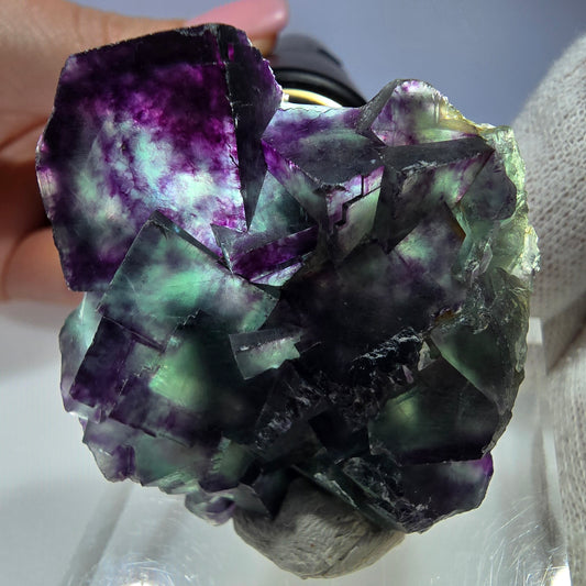 Spécimen rare de cube de fluorite fantôme, vert zonal et violet, Okorusu, Namibie, 49 x 47 x 18 mm 