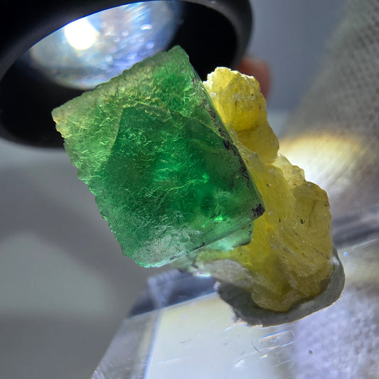 Cube de fluorite fantôme zonal, spécimen de muscovite, Erongo, Namibie, 19 x 13 x 11 mm 