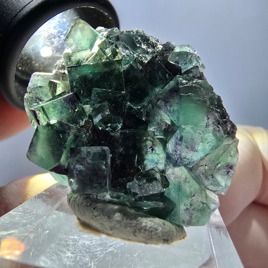 Spécimen de cube de fluorite fantôme, parqueté vert violet Okorusu, Namibie 35*27*13 mm 