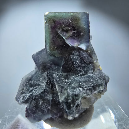 Spécimen de cube de fluorite fantôme coloré, vert violet jaune, Erongo, Namibie 29 x 20 x 14 mm 
