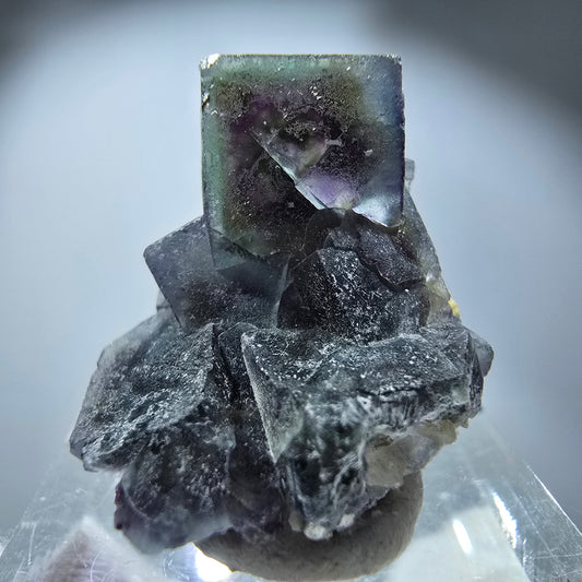 Spécimen de cube de fluorite fantôme coloré, vert violet jaune, Erongo, Namibie 29 x 20 x 14 mm 