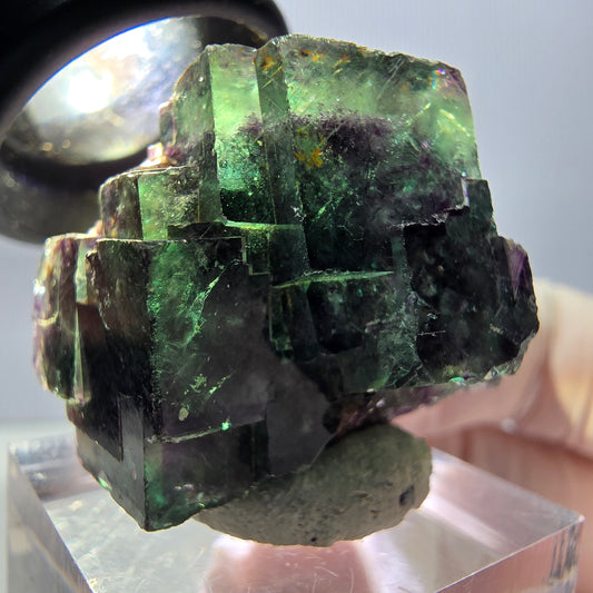 Spécimen de cube de fluorite fantôme, parqueté vert violet Okorusu, Namibie 28*27*22 mm 